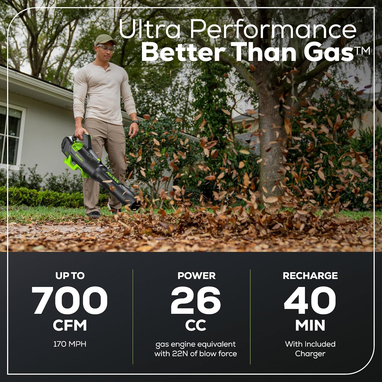 Soplador de Hojas Greenworks 80V 700 CFM Batería 2.5Ah