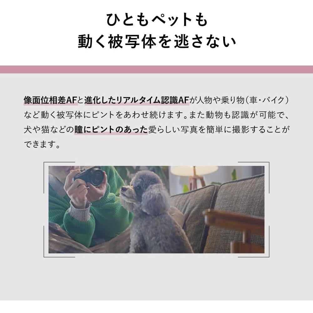 Cámara Sin Espejo Panasonic Lumix S9 24.2MP con Lente 28-200mm