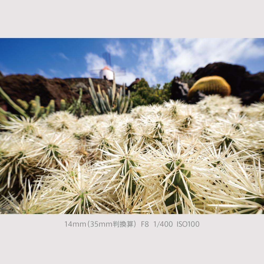 Cámara Sin Espejo Panasonic Lumix S9 24.2MP con Lente 28-200mm