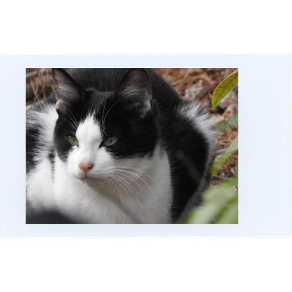 Películas Instantáneas Fujifilm Instax Mini - 100 Hojas