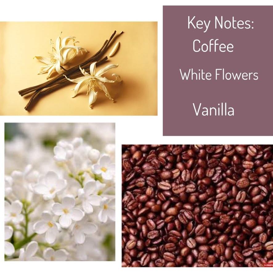 Aceite de Perfume SimplyNation 30 ml Inspirado en Black Opium