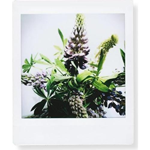 Película Instantánea Cuadrada Fujifilm 20 Exposiciones ISO 800