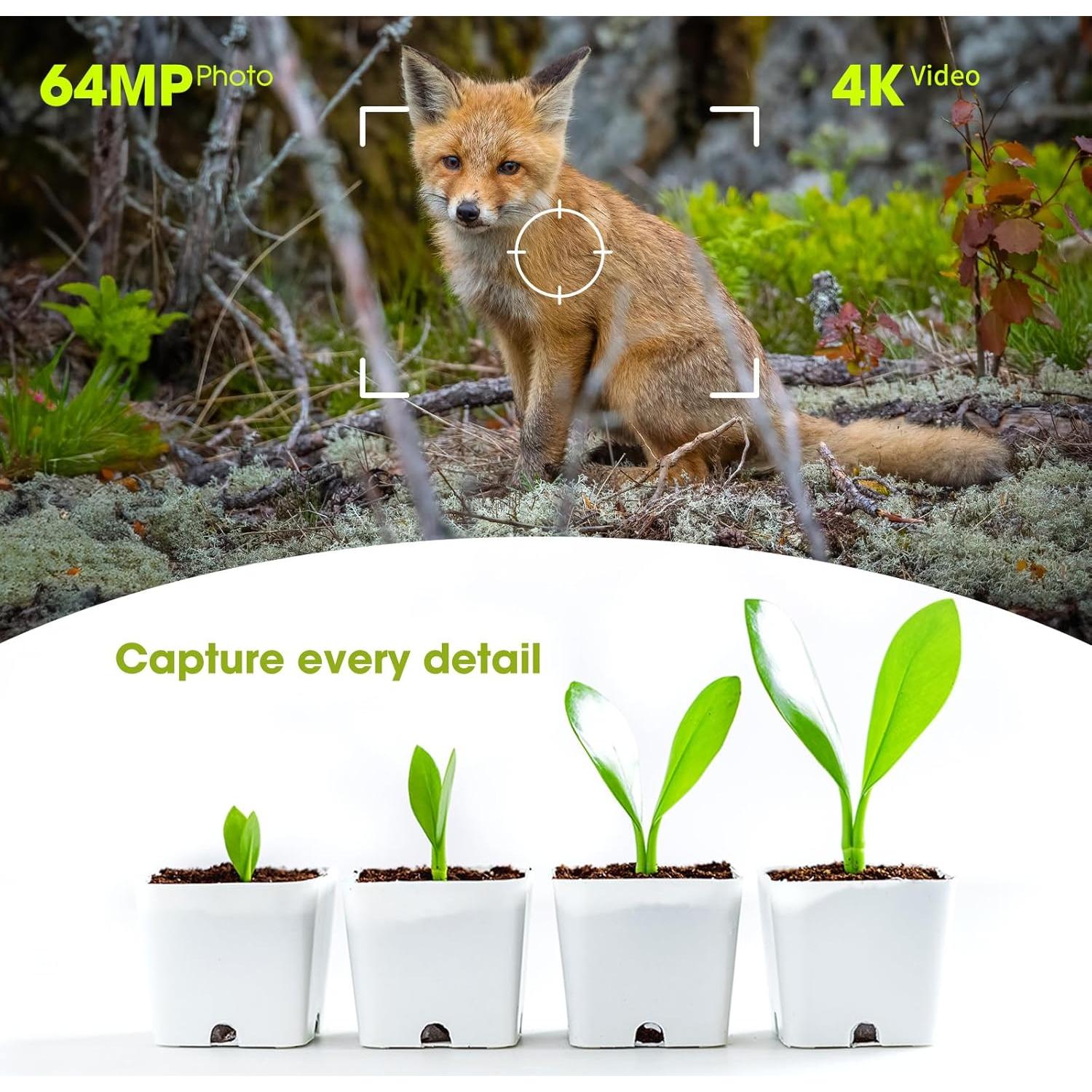 Cámara de Trail Solar Hrivcam 4K 64MP Resistente al Agua
