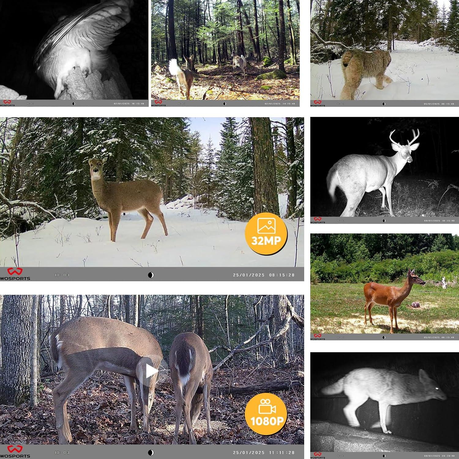 Cámara de sendero WOSPORTS H41-2 32MP 1080P con SD 32GB