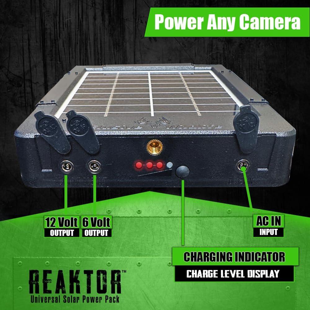Paquete Energía Solar Fauna Elusiva REAKTOR 2W 12V 6V