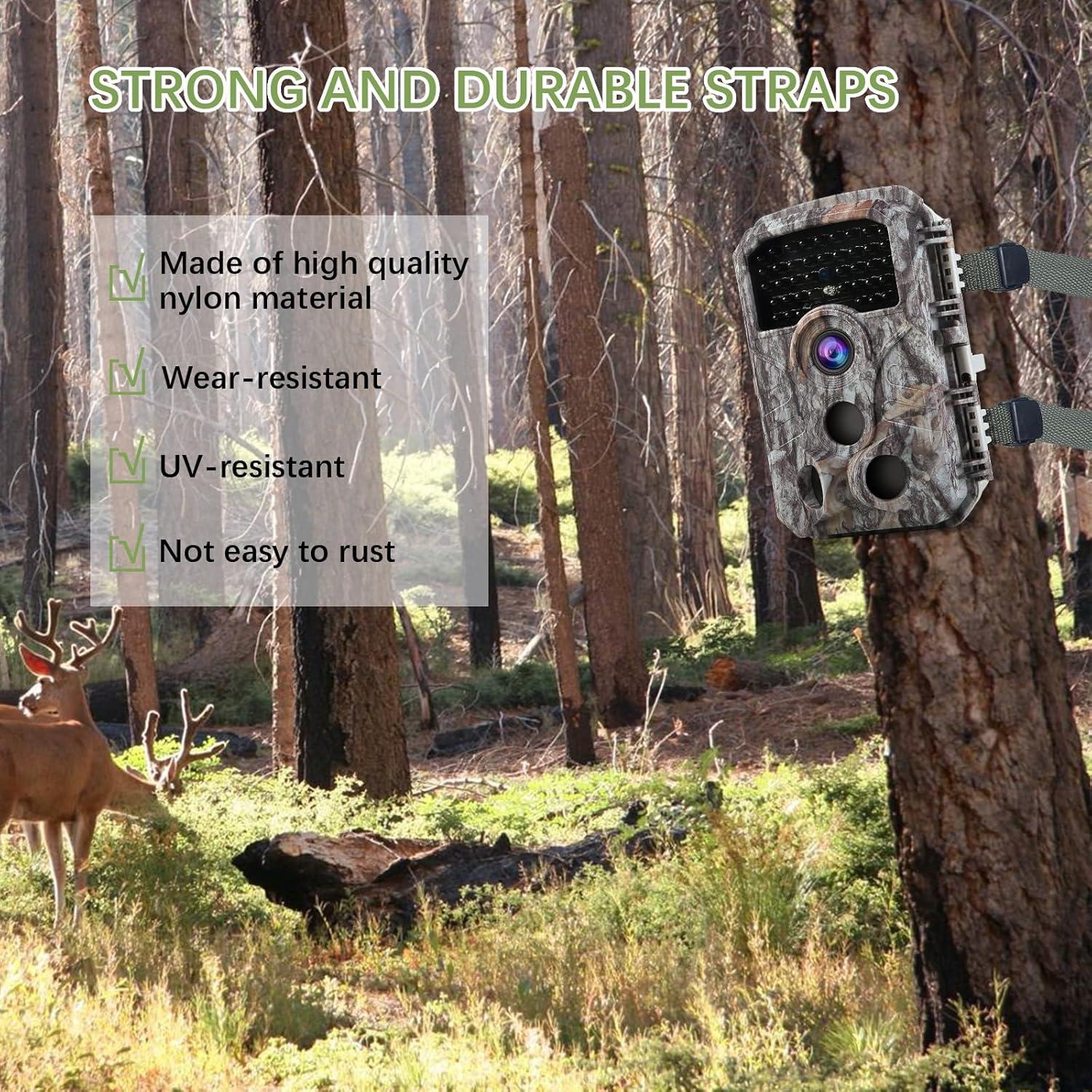 4 Correasa de Cámara de Nylon Acuxiaza 145cm Verde Alta Resistencia