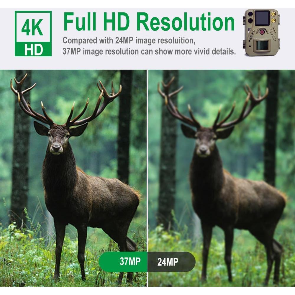 Cámara de Sendero BolyGuard SG520-D 37MP 4K IR LED Nocturna