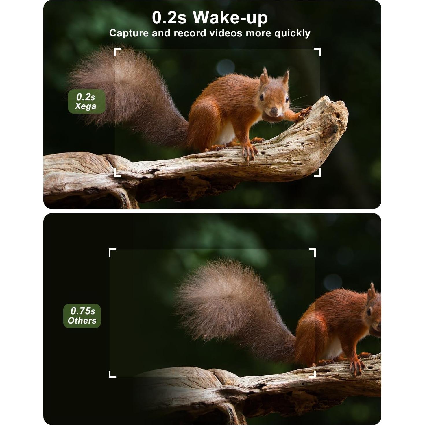 Cámara de Trail Solar 4G Xega XG-11-AU con GPS 2K