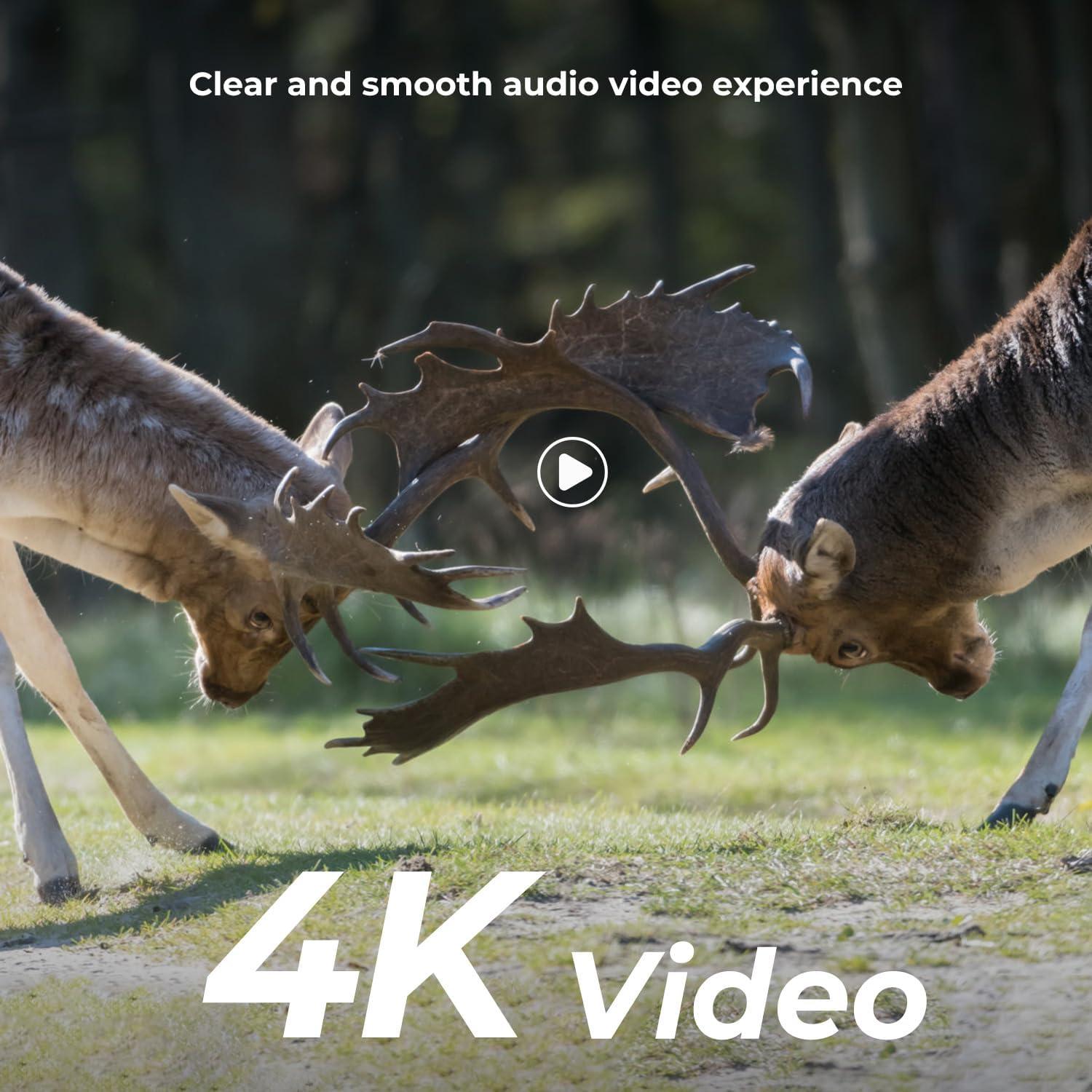 Cámara de Sendero K&F Concept 4K 48MP con Visión Nocturna