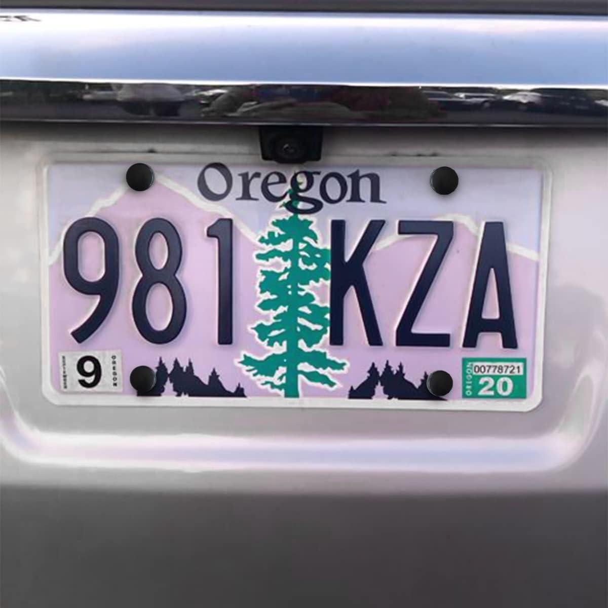 Kits de Tornillos Antirrobo YALOK para Placas de Licencia 8PCS