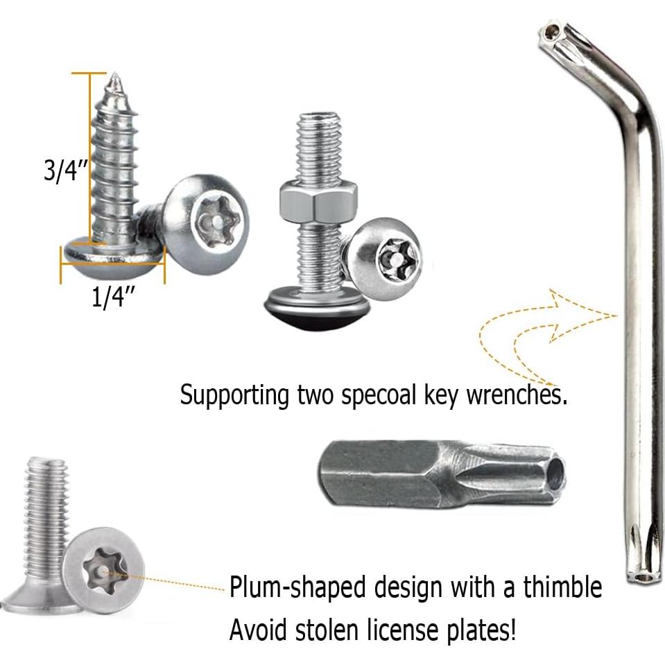 Tornillos Antirrobo HAOBO para Placas de Matrícula Acero Inoxidable