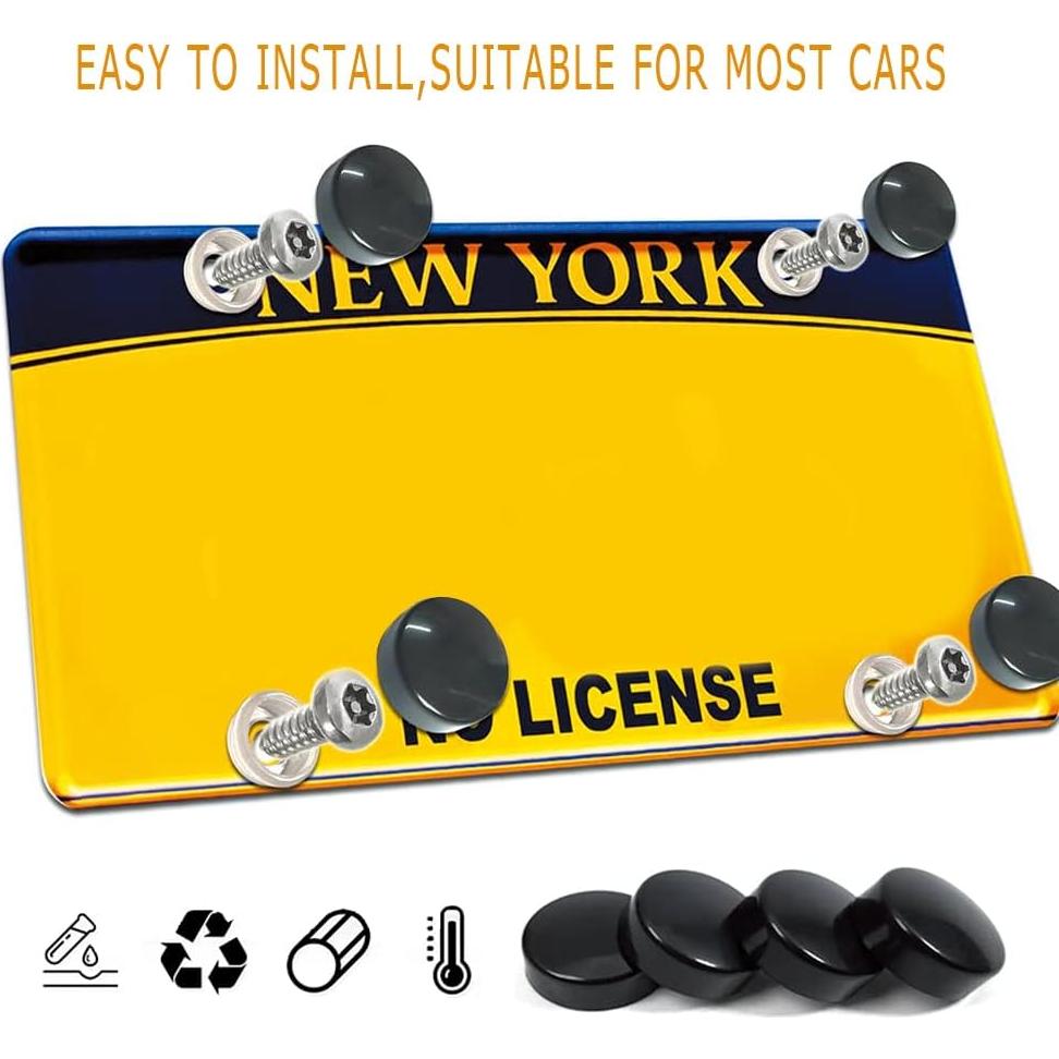 Tornillos Antirrobo HAOBO para Placas de Matrícula Acero Inoxidable