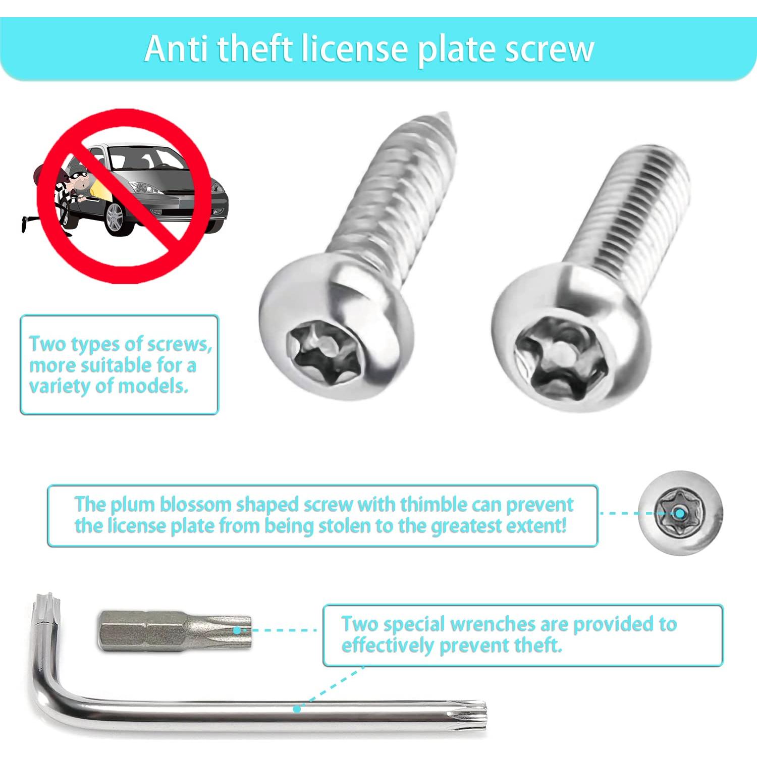 Kit de Tornillos Antirrobo para Placas de Licencia AccEncyc M6x20mm