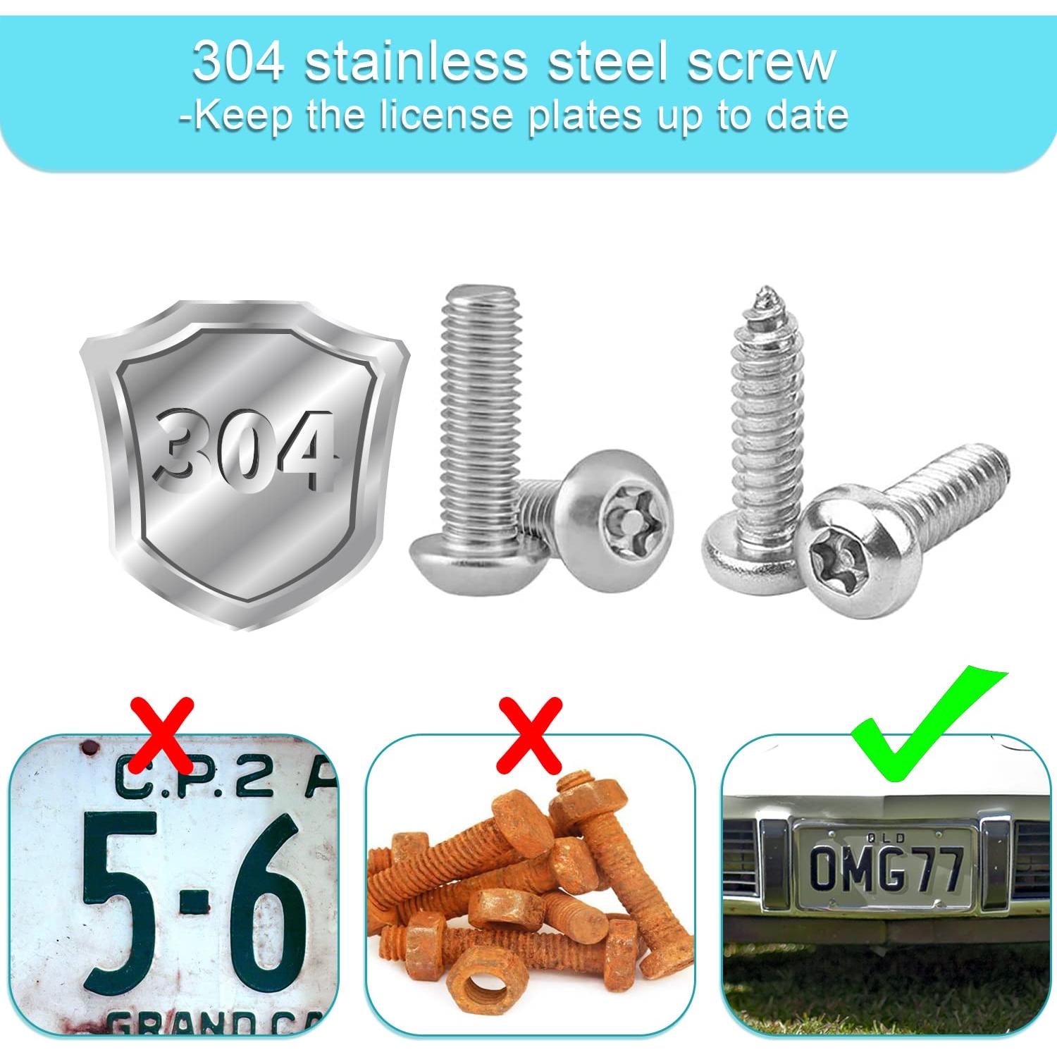 Kit de Tornillos Antirrobo para Placas de Licencia AccEncyc M6x20mm