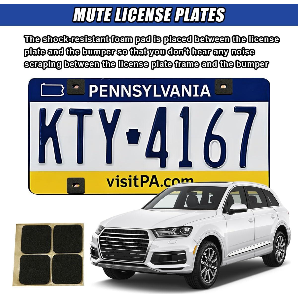 Kit de Tornillos Antirrobo DUSCOKE para Placas de Licencia 4 Pzas