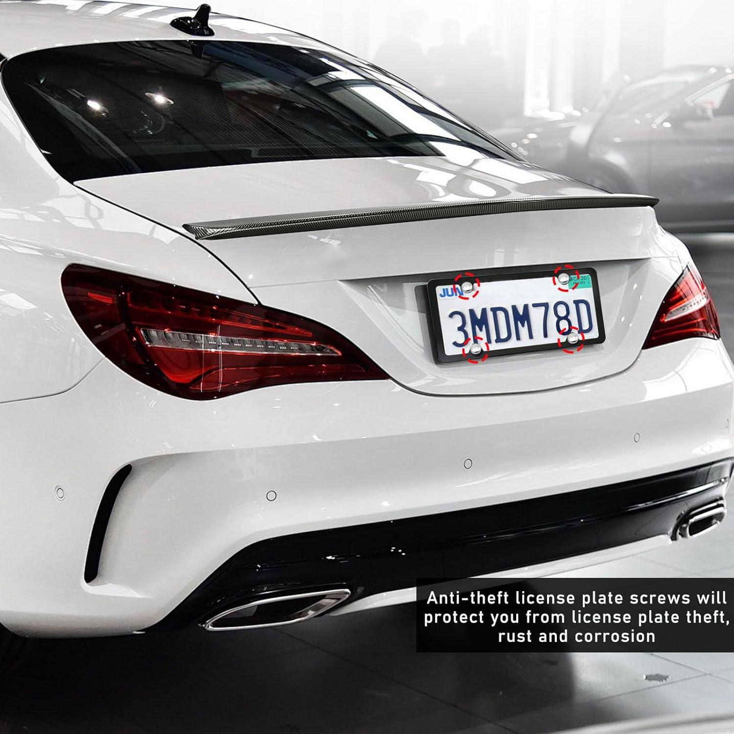 Tornillos Antirrobo para Placas de Matrícula Sylvil Plata M6