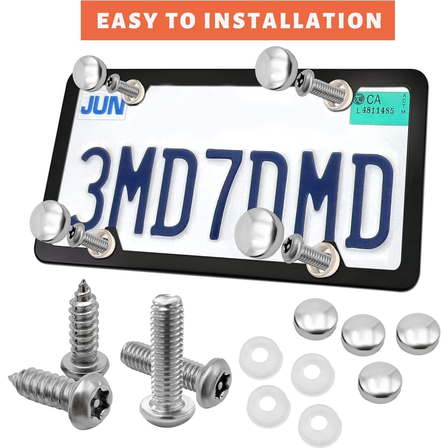 Tornillos Antirrobo para Placas de Matrícula Sylvil Plata M6