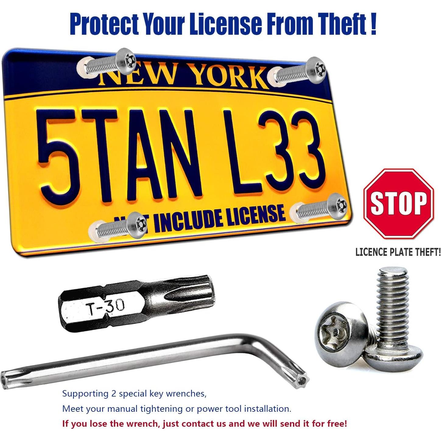 Tornillos Antirrobo para Placas de Matrícula PRUST M6 6mm