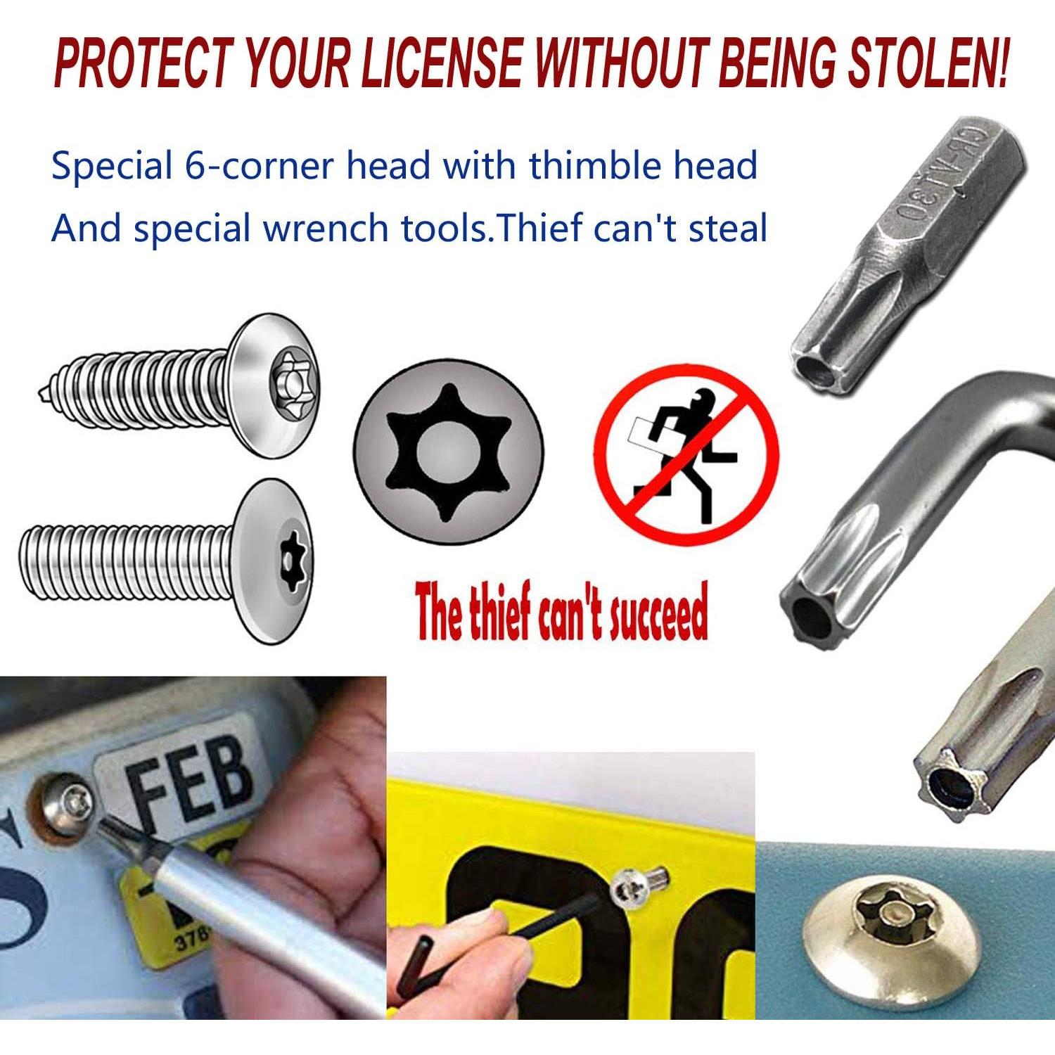 Tornillos Antirrobo para Placas de Matrícula PRUST M6 6mm