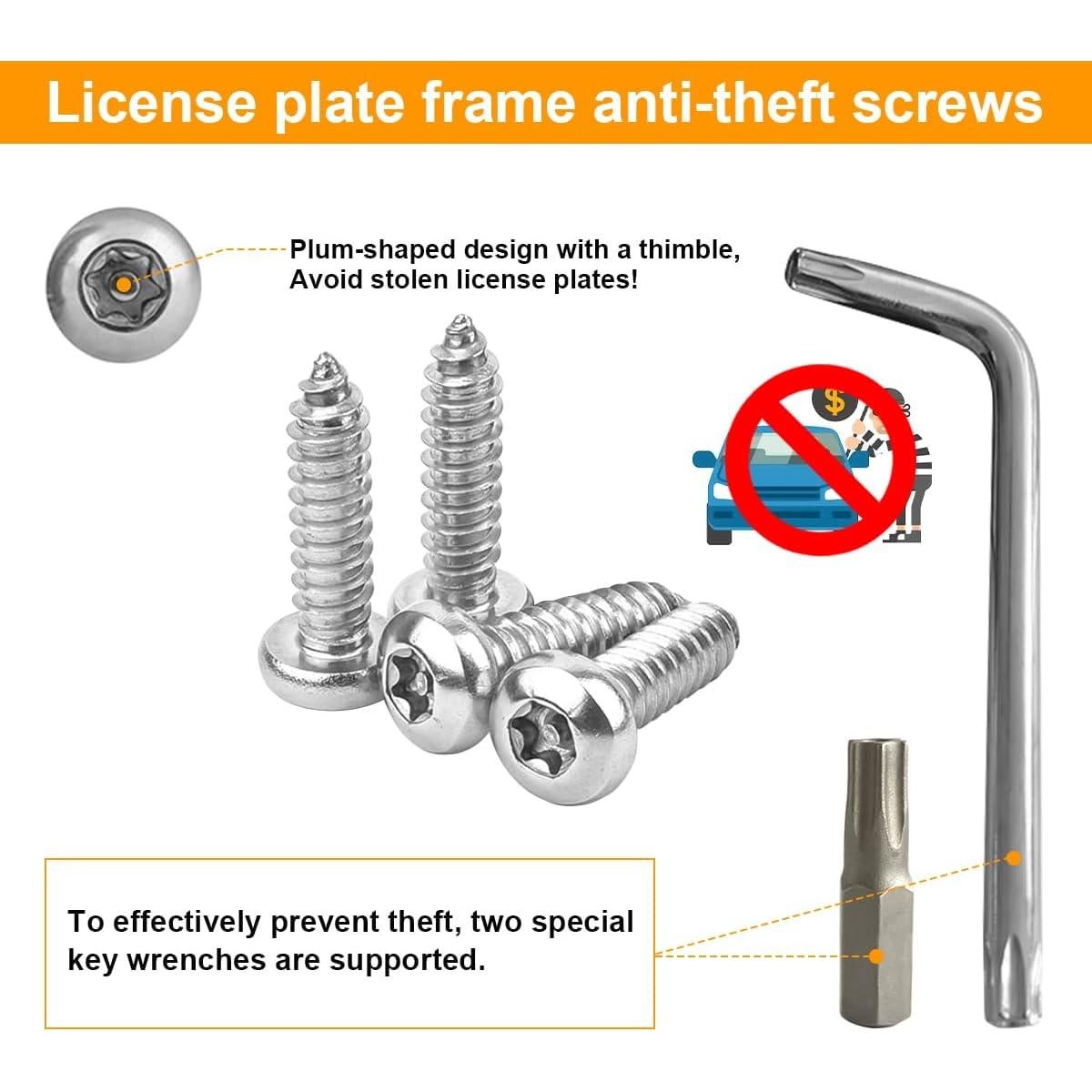 Kit de Tornillos Antirrobo para Placas de Licencia LKAHG Plata
