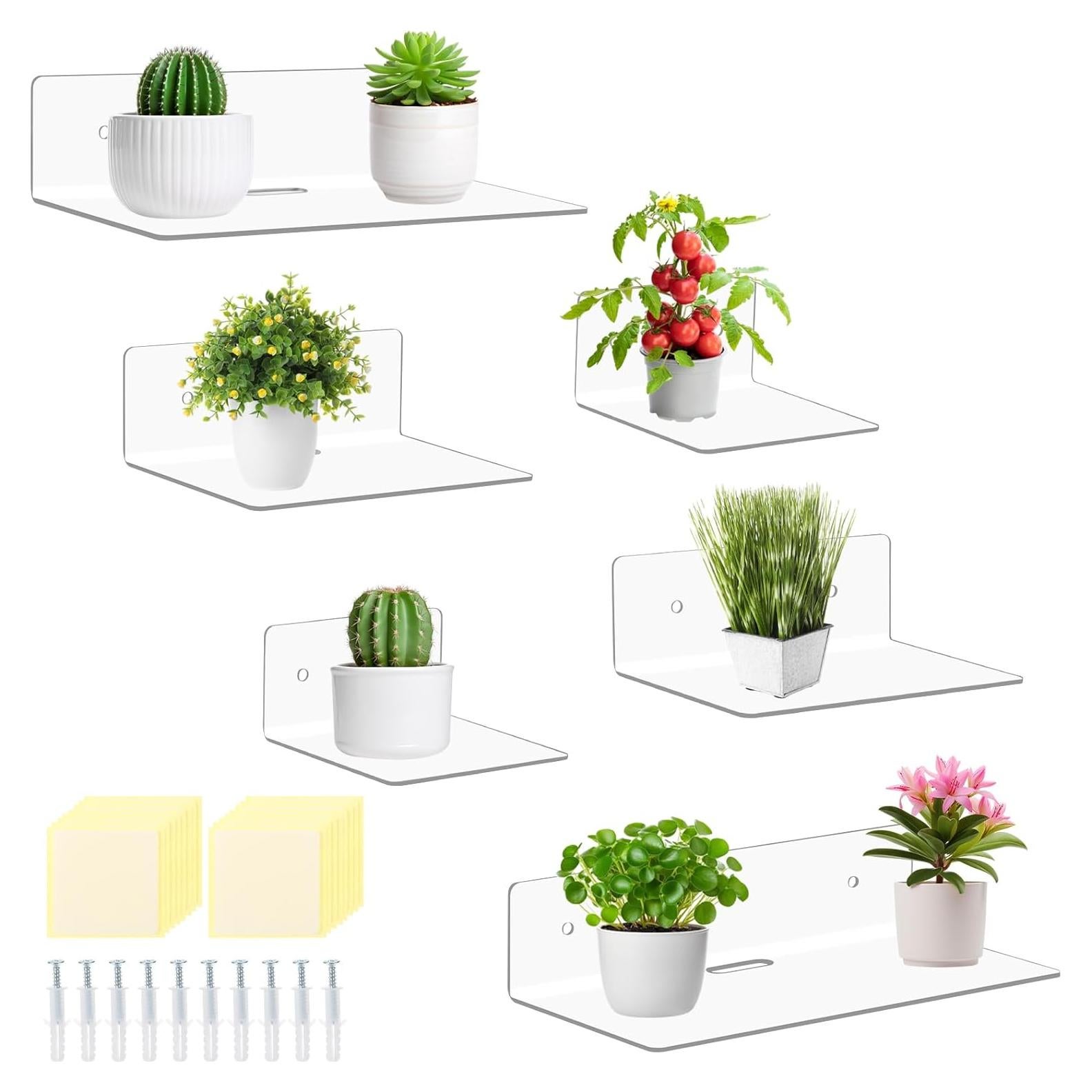 Estantes Flotantes Acrílico Transparente Pinkunn 6 Piezas 10-23 cm