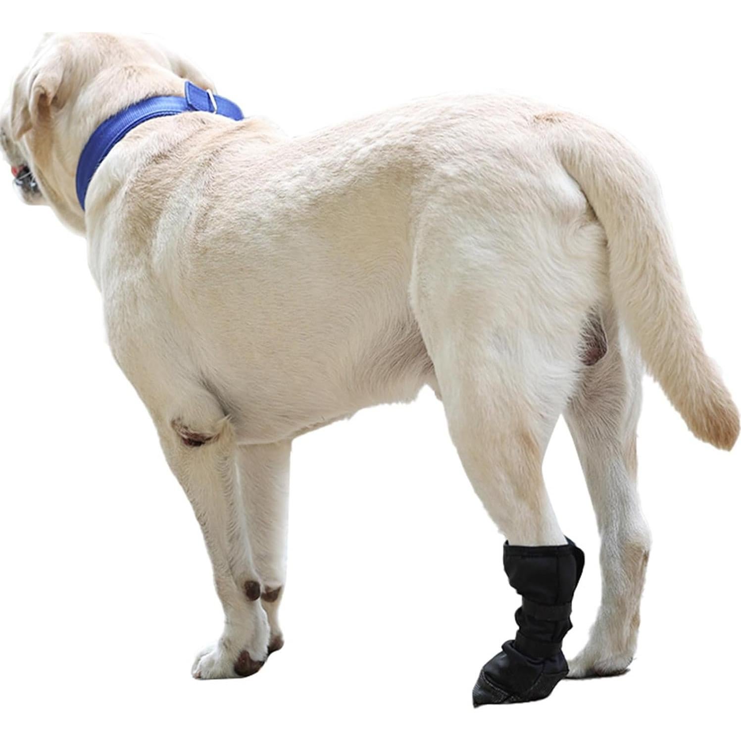 Bota Protectora para Perro Grande Ubxvamm - Recuperación Suave