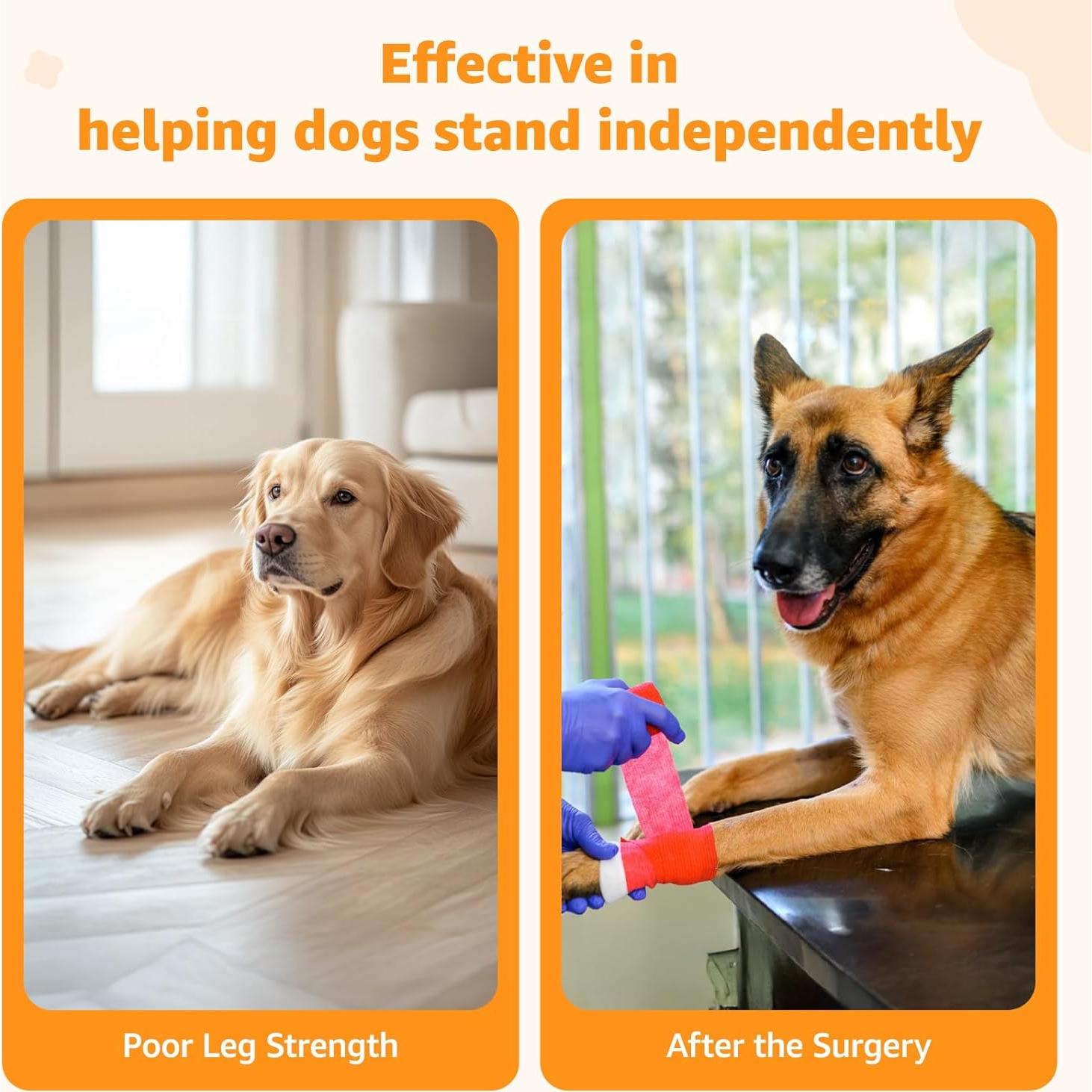 Protector de Patas para Perros LOOBANI XXL Negro Antideslizante