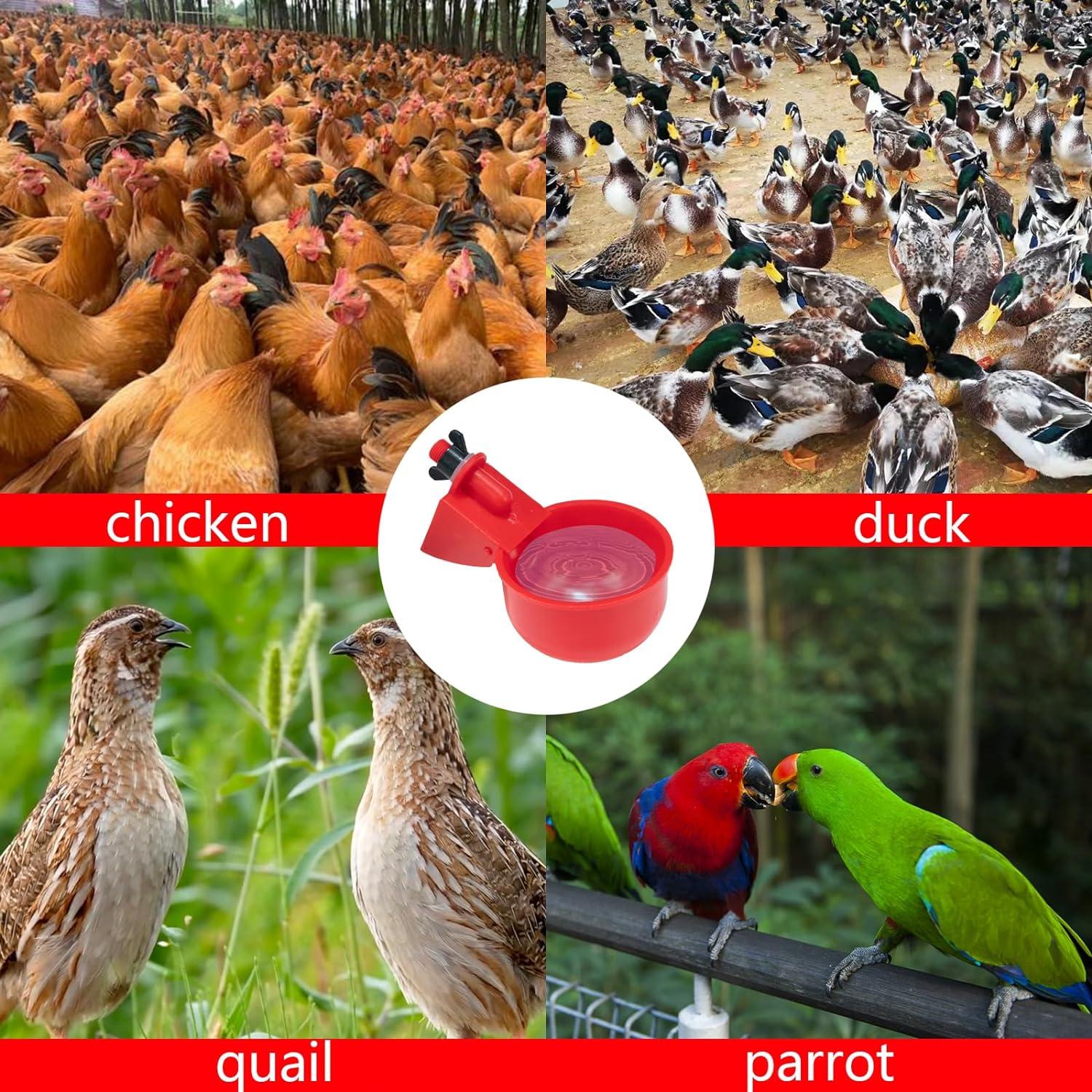 Paquete de 16 Bebederos Automáticos TXZWJZ para Aves de Corral