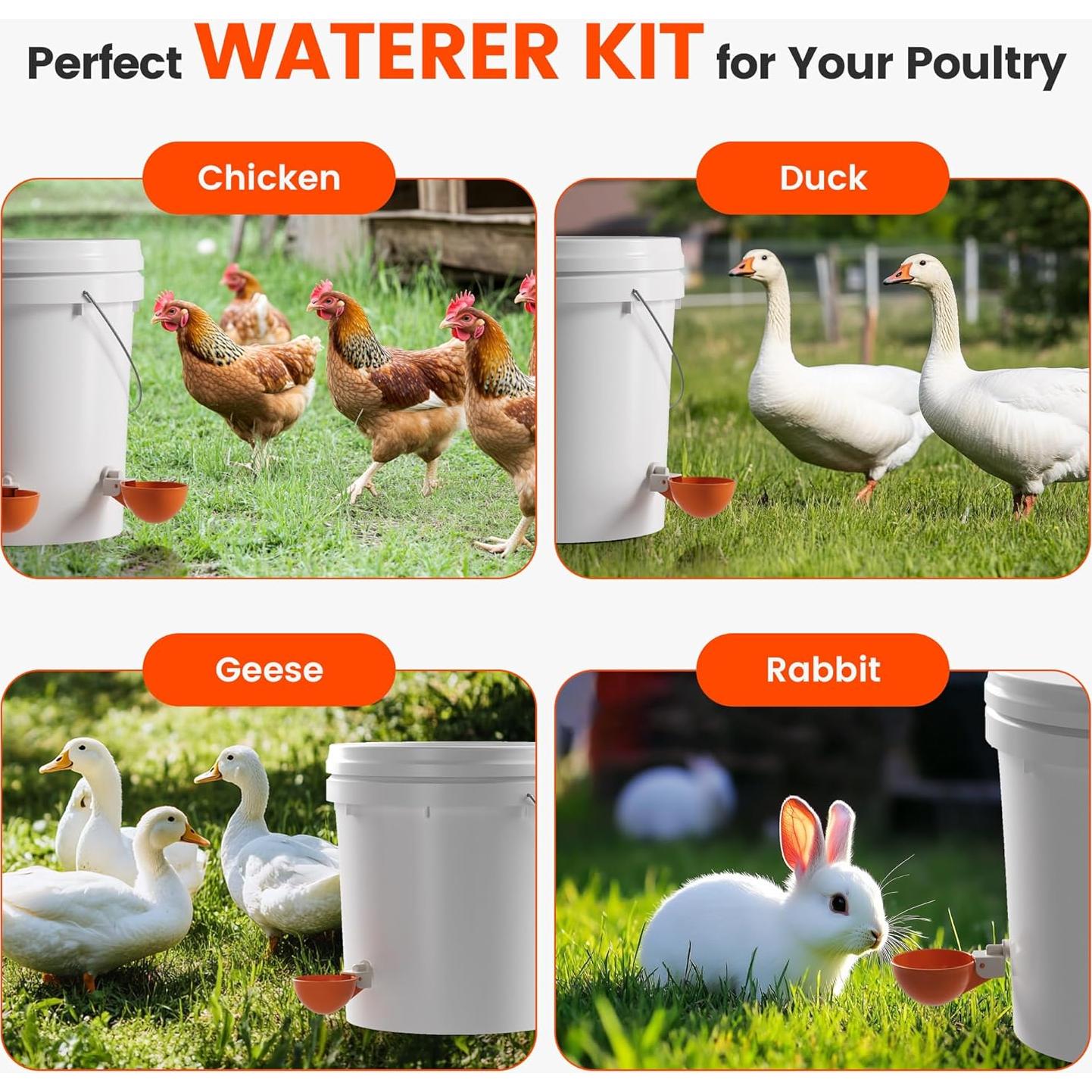 Tazas Automáticas para Agua de Pollos Eggluuz - Paquete de 6