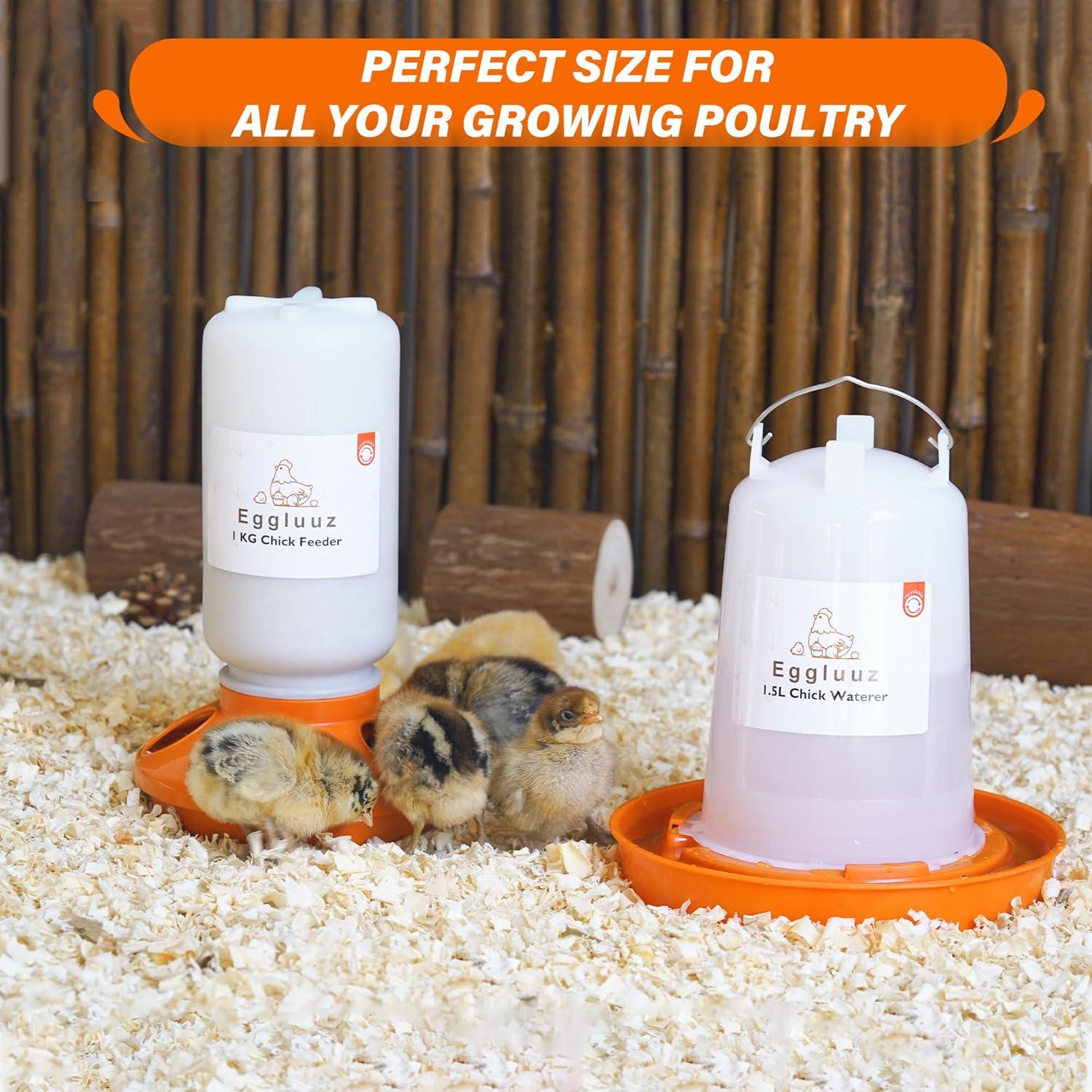 Kit Alimentador y Bebedero Automático Pollitos Eggluuz 1L 1.5L