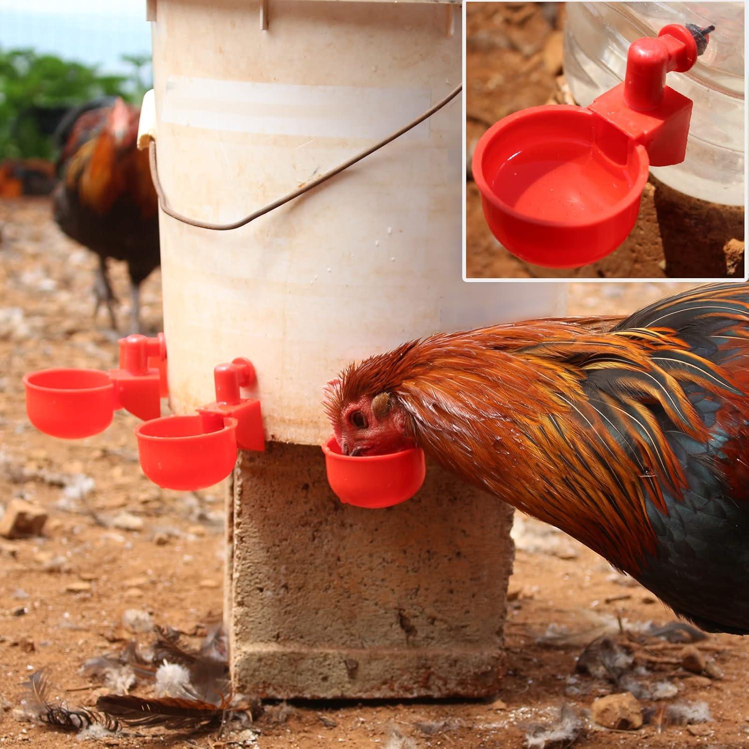 Tazas de Agua Automáticas VSSAW para Pollos - Paquete de 6