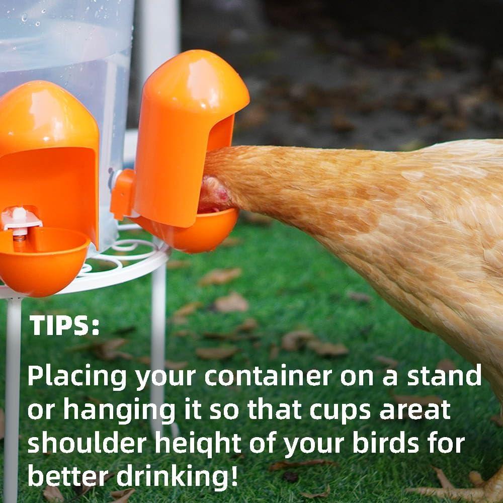 Tazas de Agua Automáticas Labodey para Aves 5 Paquete