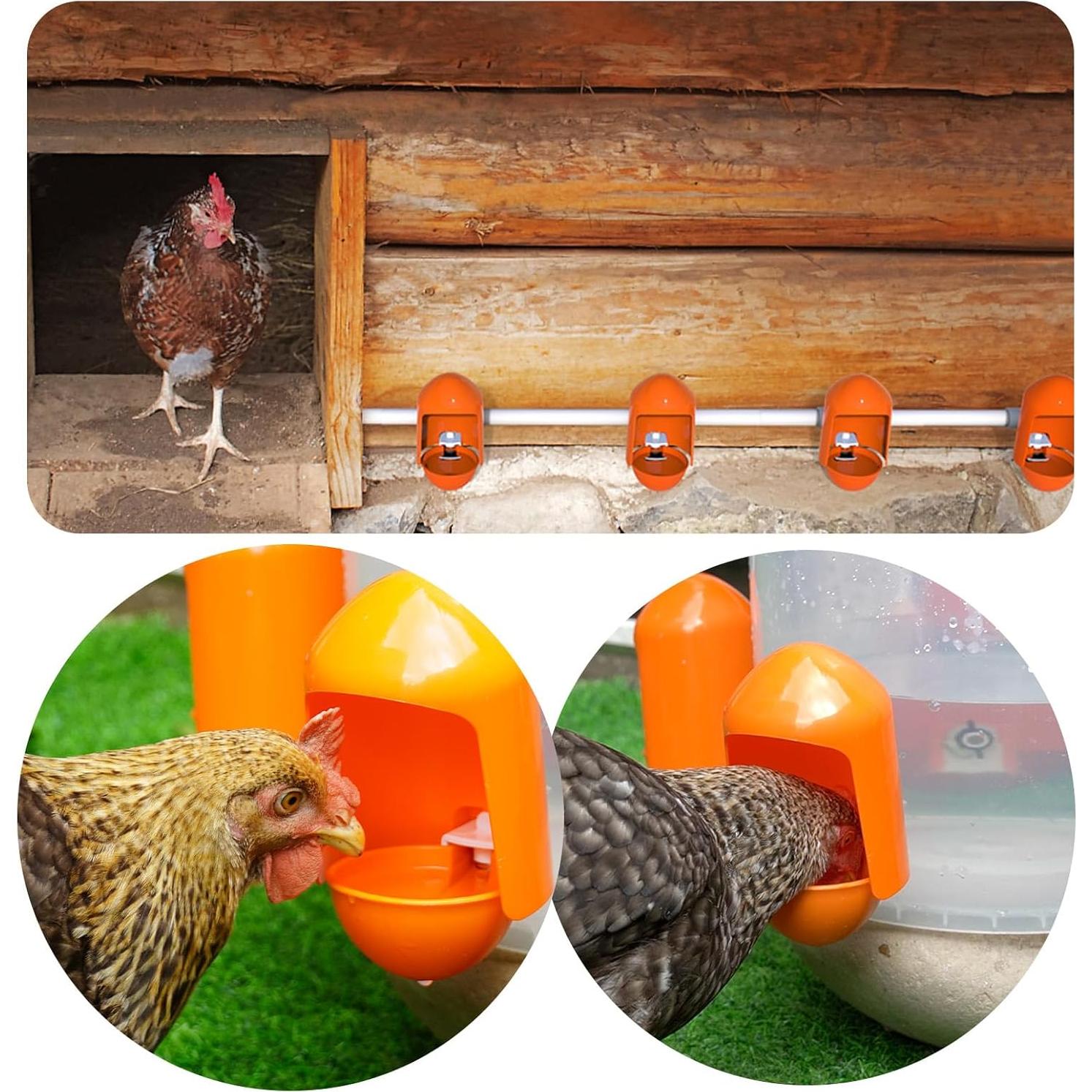 Tazas de Agua Automáticas Labodey para Aves 5 Paquete