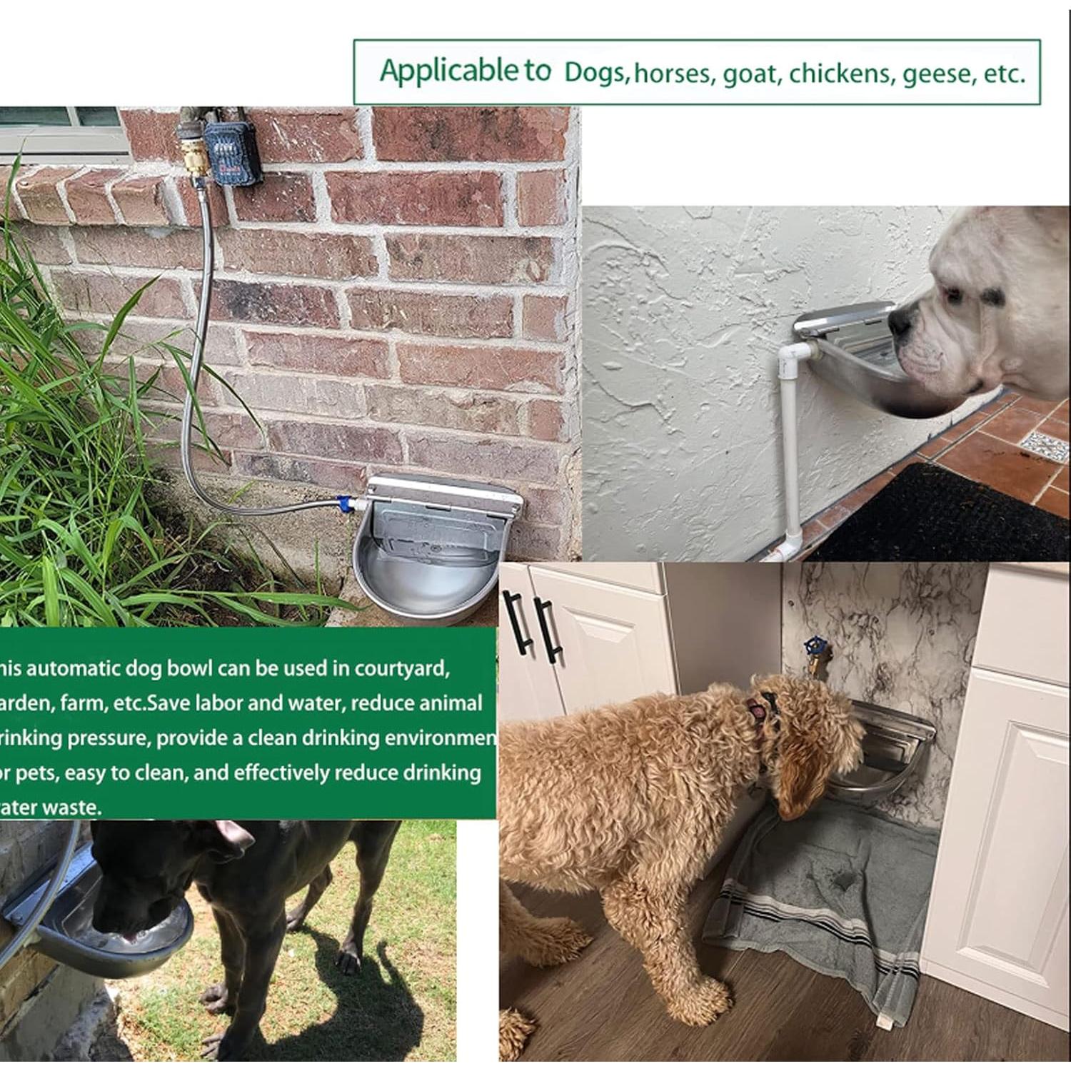 Dispensador de Agua Automático Tbrand Acero Inoxidable 304 2.5L