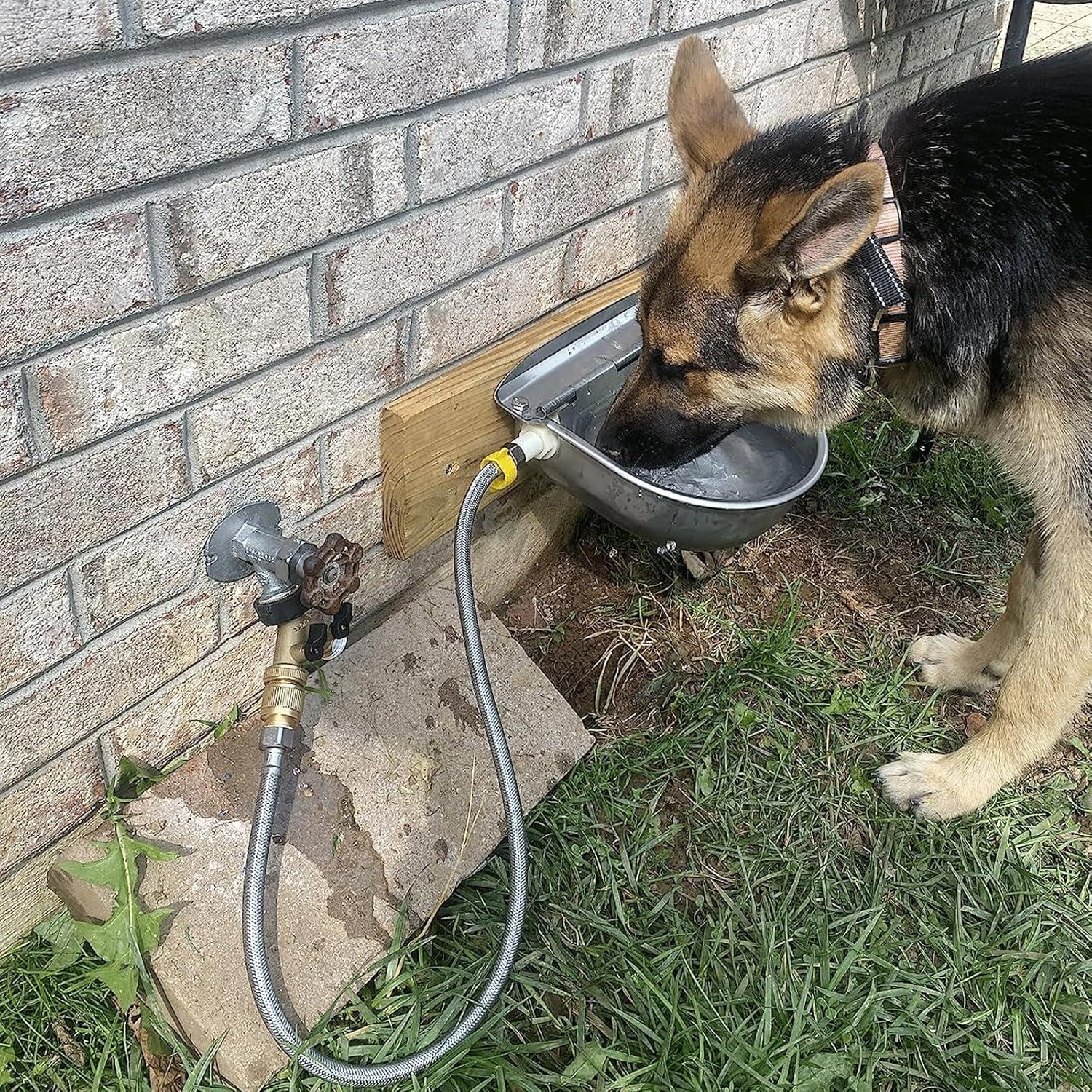 Dispensador de Agua Automático Tbrand Acero Inoxidable 304 2.5L