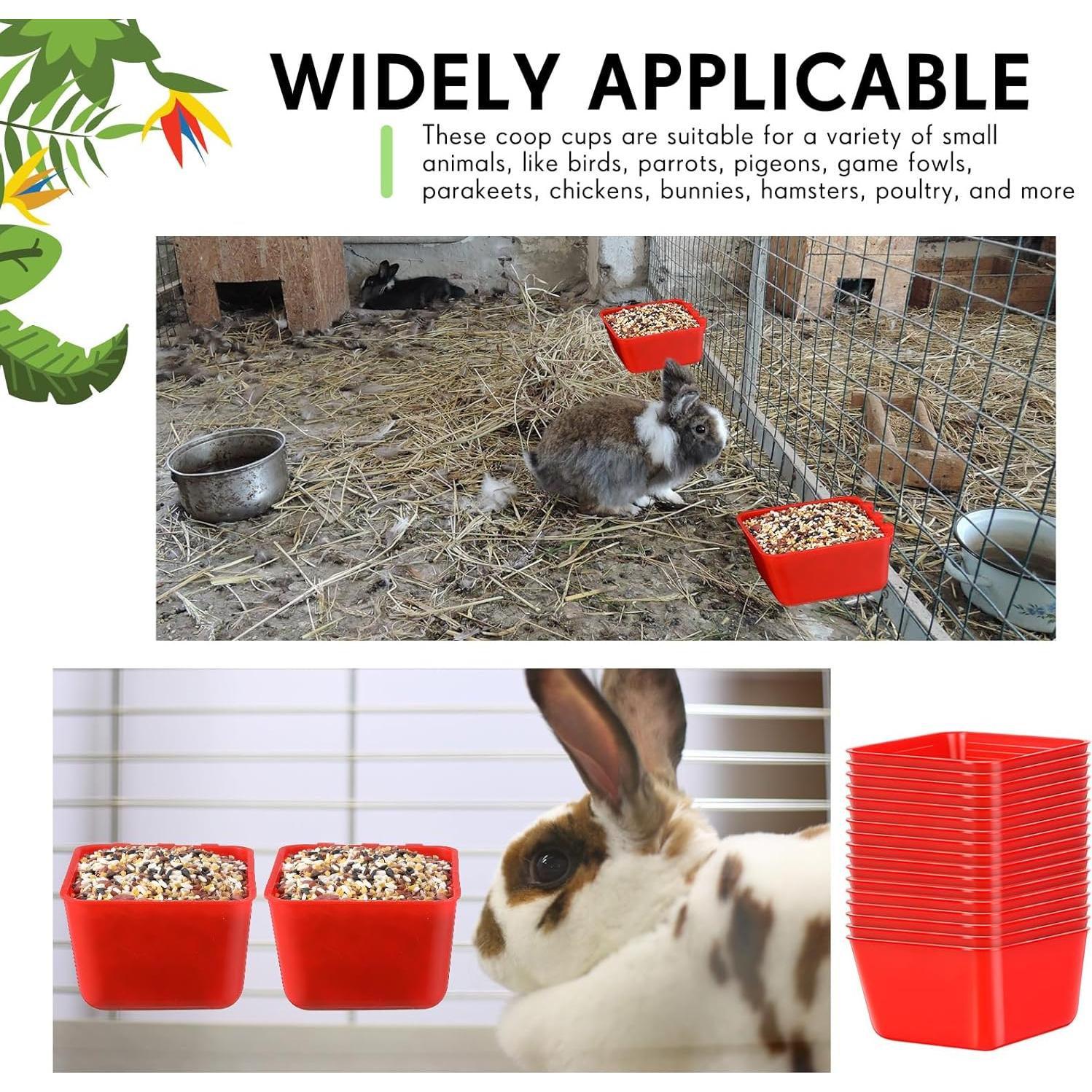 Maxdot 50 Tazas Comedero Colgante para Aves 0.47L Rojo