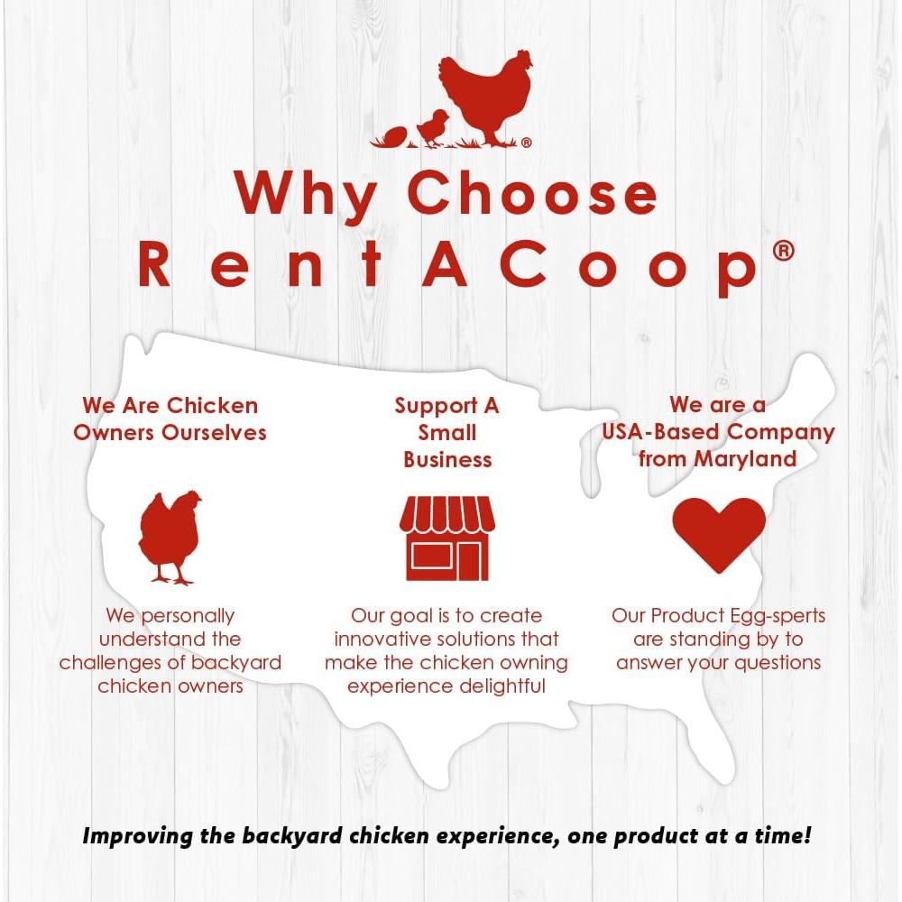 Bebedero Automático RentACoop 1L con 2 Picos para Aves