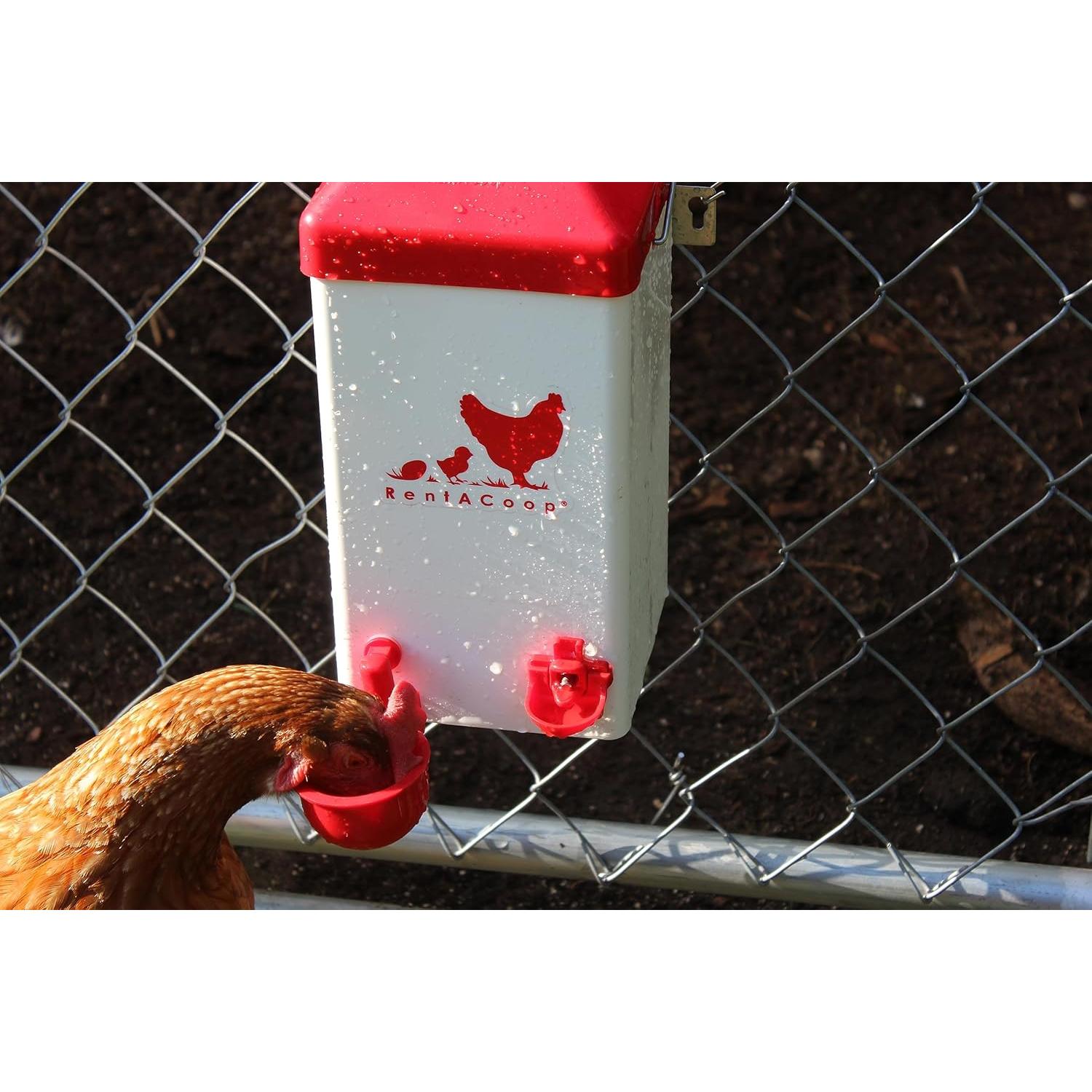 Bebedero Automático para Pollos RentACoop 3.78L con 2 Tazas