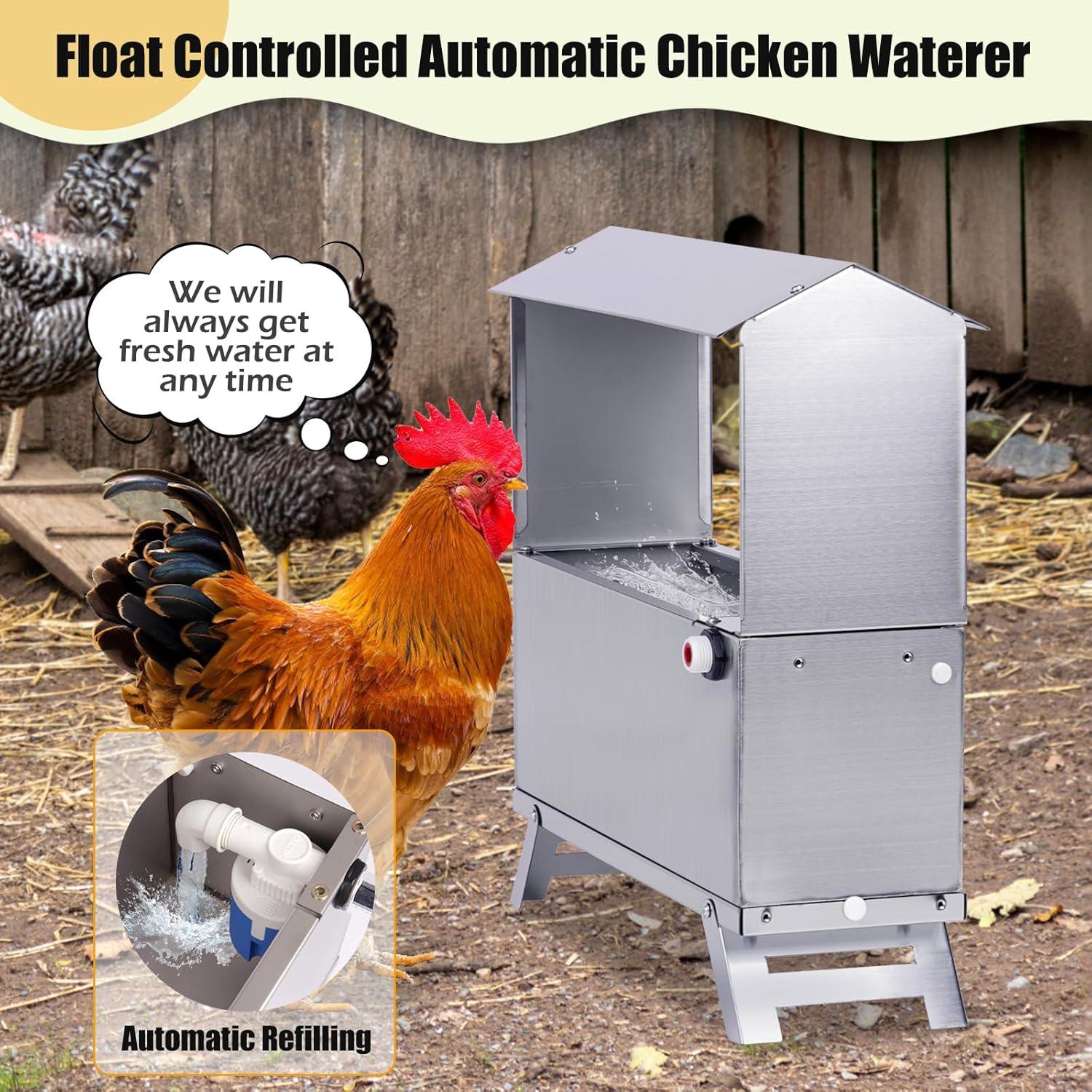 Bebedero Automático para Pollos 6L Acero Inoxidable Zhengzhou