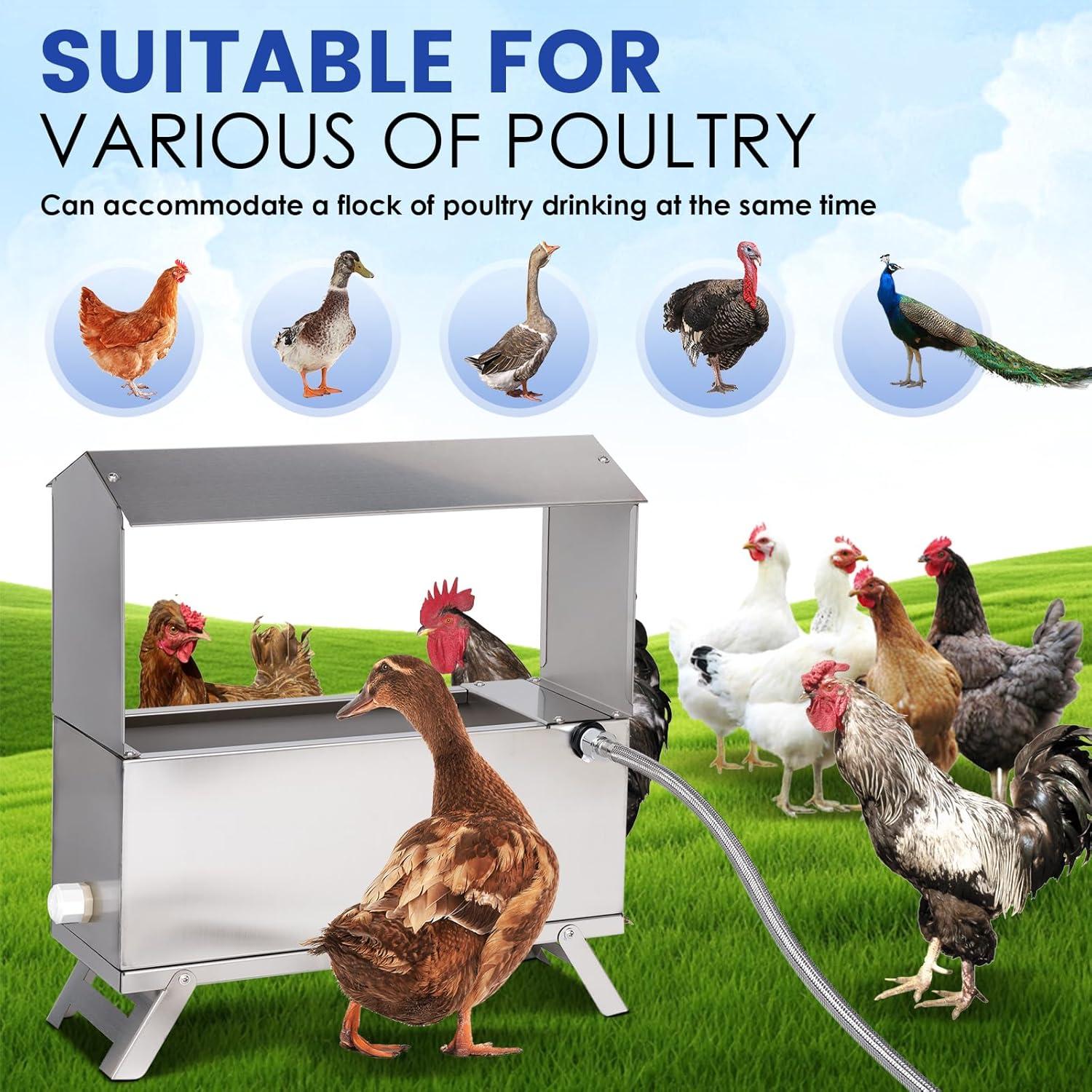 Dispensador Automático de Agua para Pollos LZWUNYXE 6L Acero Inoxidable