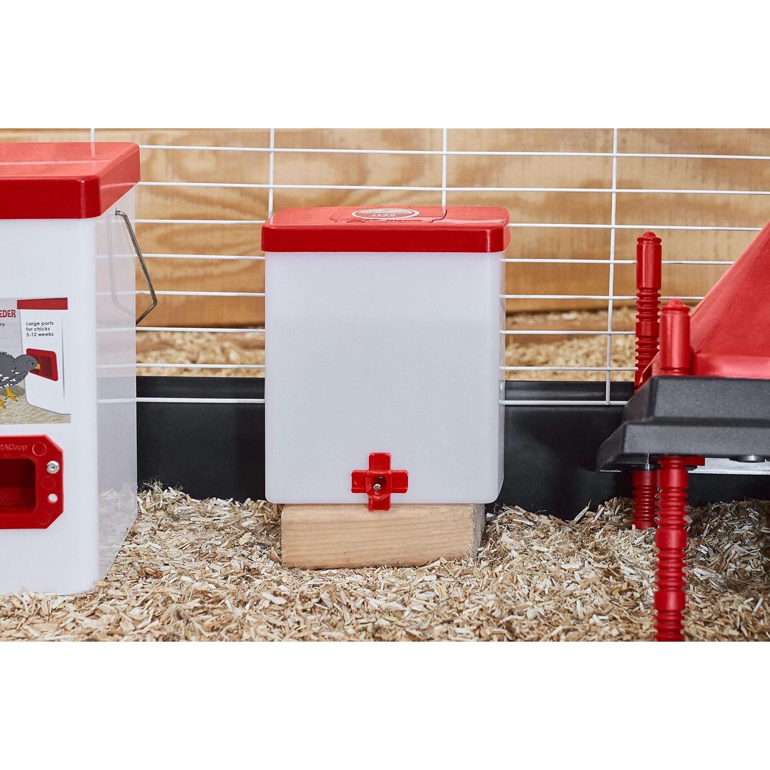 Bebedero Automático RentACoop 2L con 2 Picos para Aves