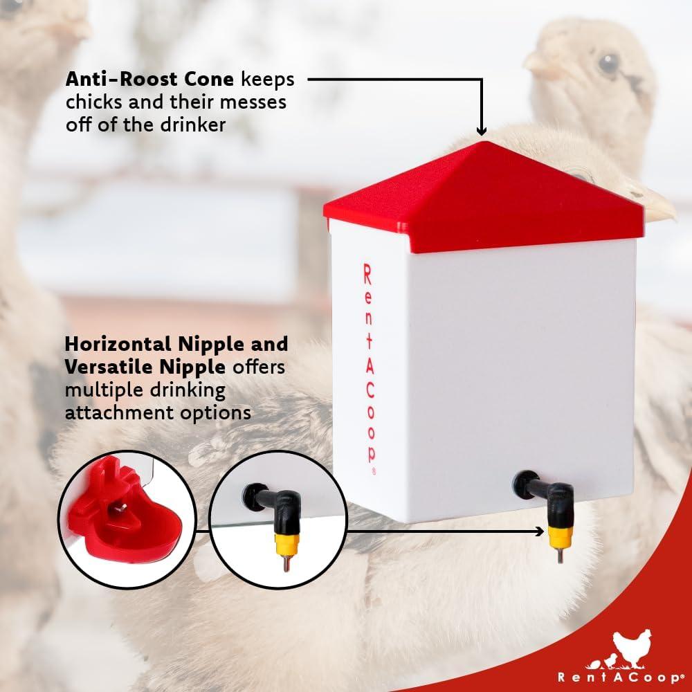 Bebedero Automático RentACoop 2L con 2 Picos para Aves