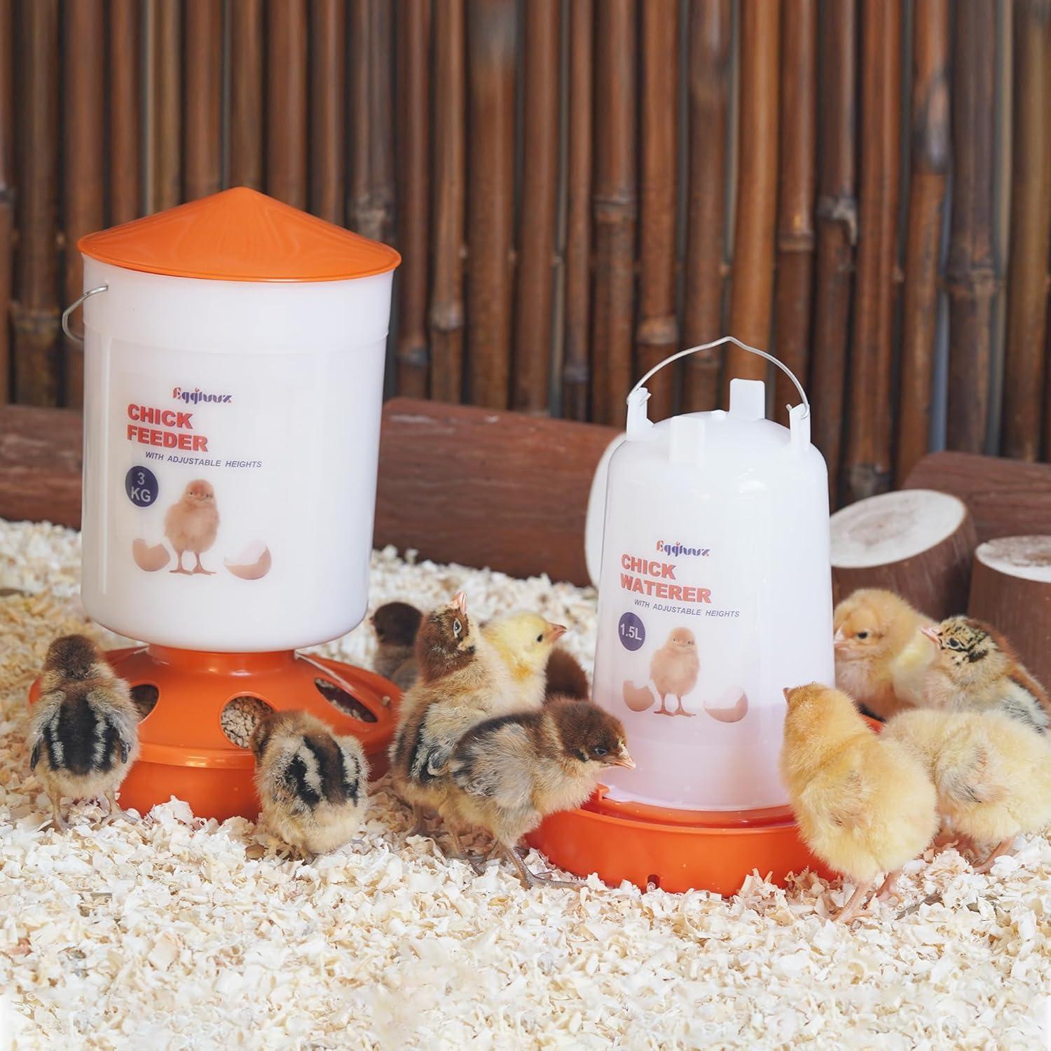 Kit Alimentador y Bebedero Pollitos Eggluuz 3kg 1.5L Ajustable