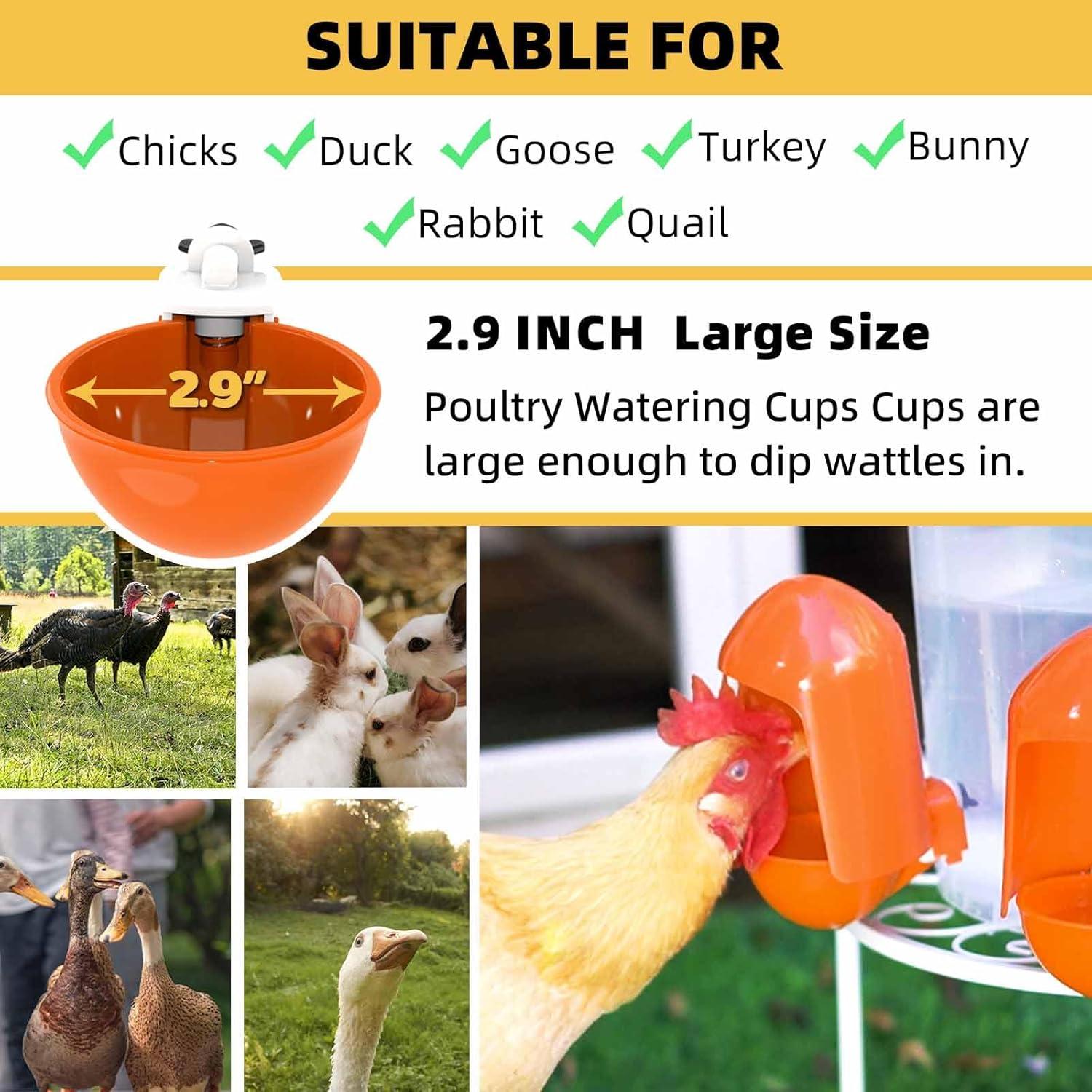 Tazas Automáticas para Beber Agua de Aves de Corral LEWINHOOK - Paquete de 5, 7.37 cm