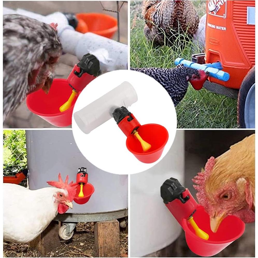 10 Copas Automáticas para Beber Aves Plzoslly 8x5cm