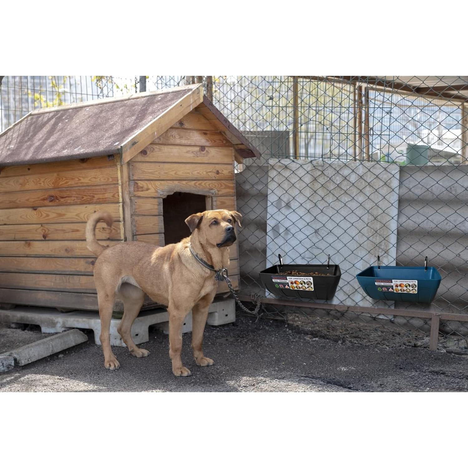 Comedero y Bebedero para Animales APRICOCK - 5.2 Litros, Paquete de 2