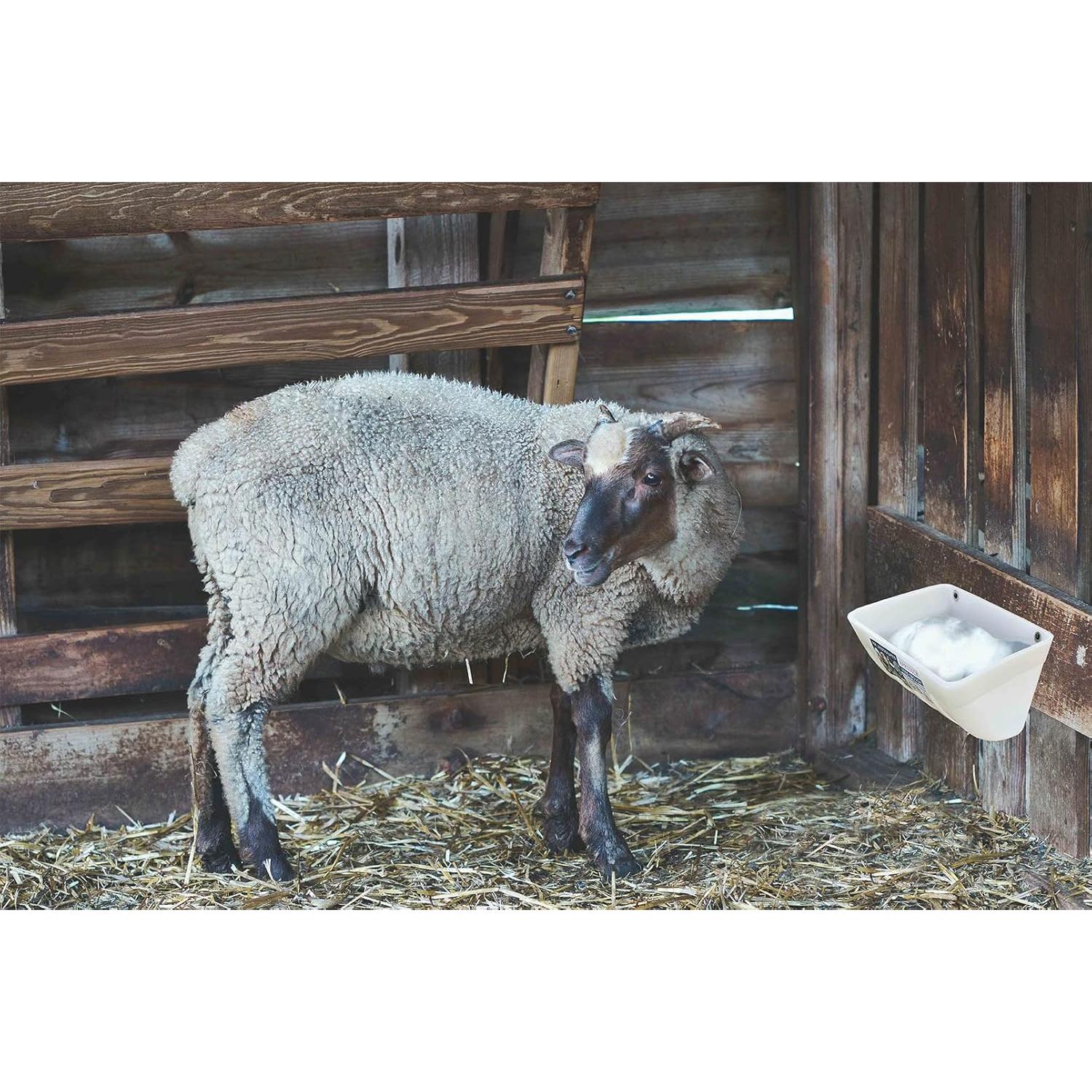 Comedero y Bebedero para Animales APRICOCK - 5.2 Litros, Paquete de 2