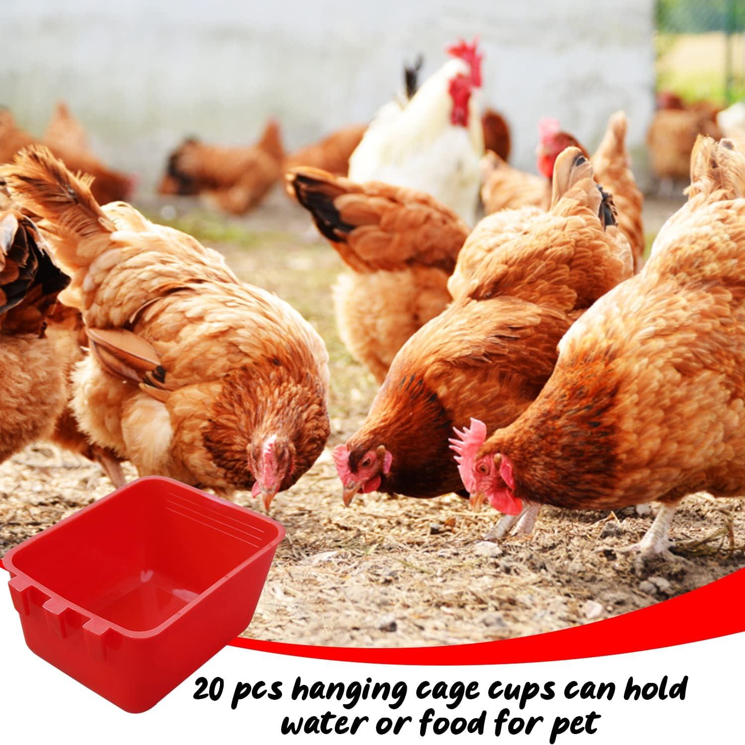 20 Tazas de Alimentación para Aves Rojo 250 ml - Hefei Mengku