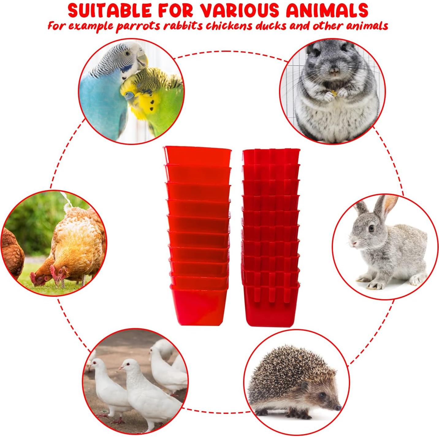 20 Tazas de Alimentación para Aves Rojo 250 ml - Hefei Mengku