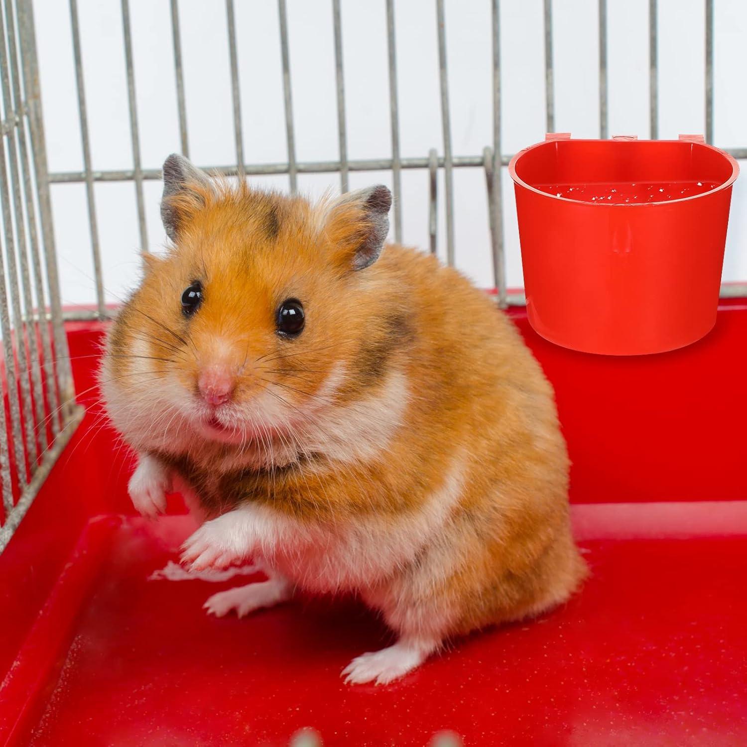 30 Tazones de Alimentación para Aves Suclain 8.3 cm Rojo